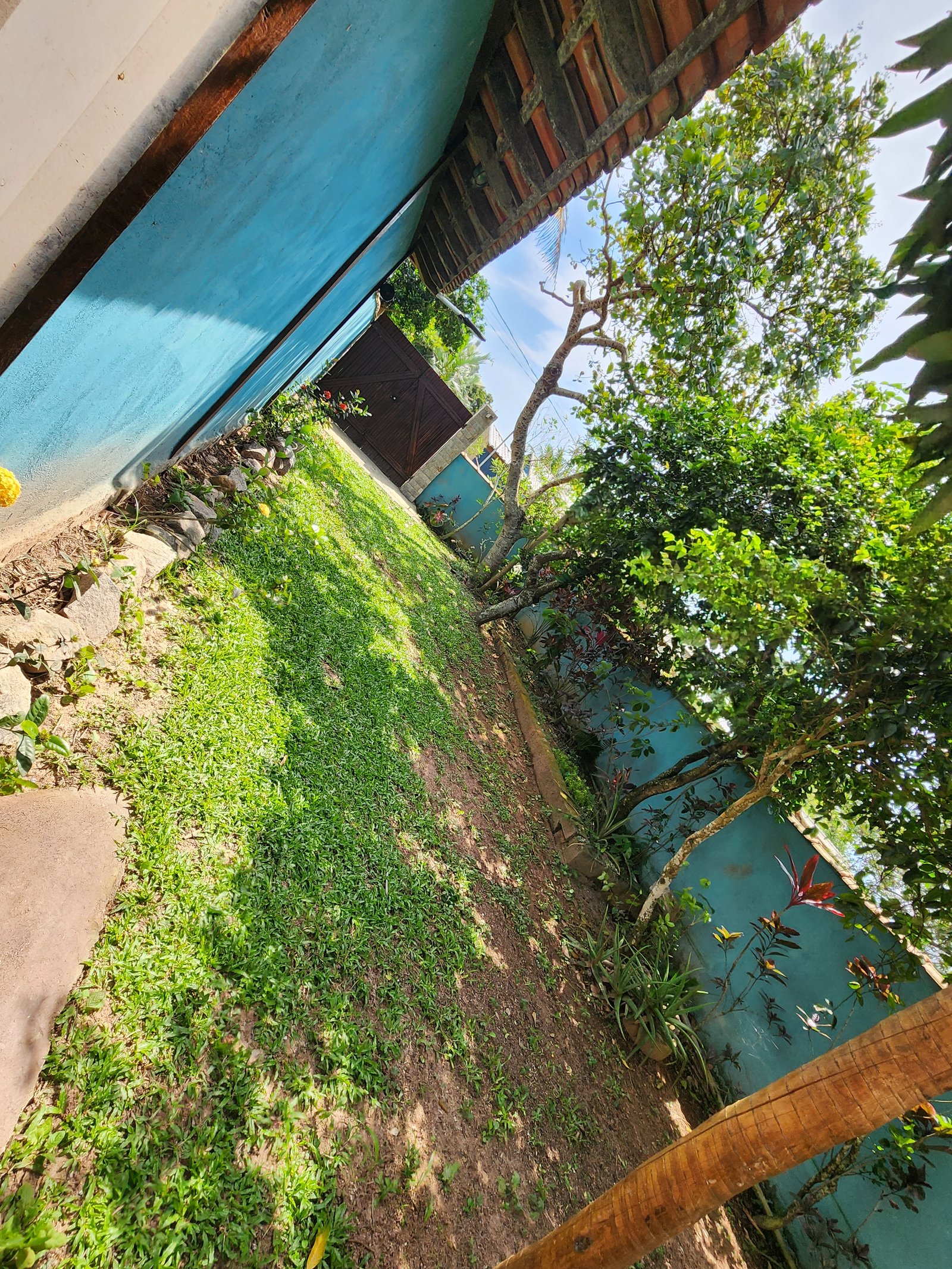 Jardim externo da casa