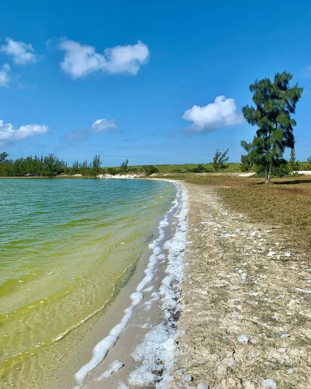 Margem salina da Lagoa Vermelha sob o céu azul